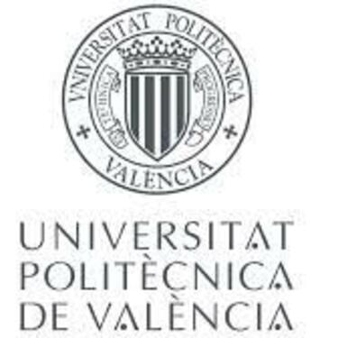 Club Deportivo Universidad Politécnica València